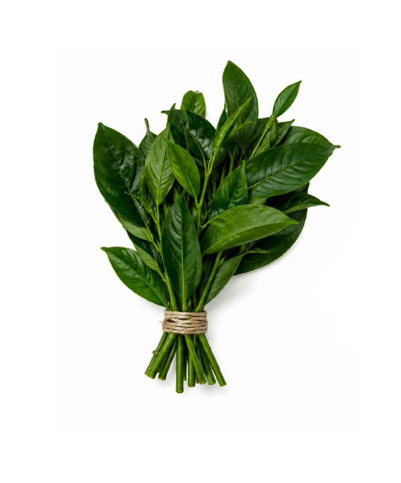 A small bunch of fresh green leafy herbs tied with natural twine, centered on a plain white background.