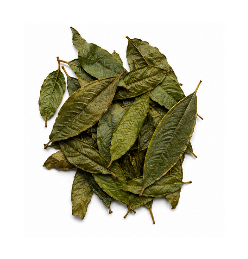 A small pile of dried green leaves with visible stems, photographed from above on a plain white background.