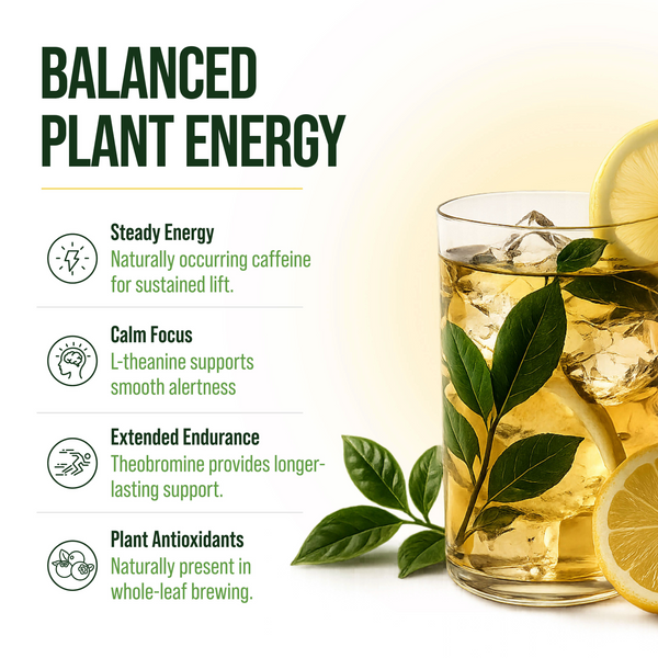 Guayusa plant energy benefits including steady energy, natural caffeine, L-theanine and antioxidants.