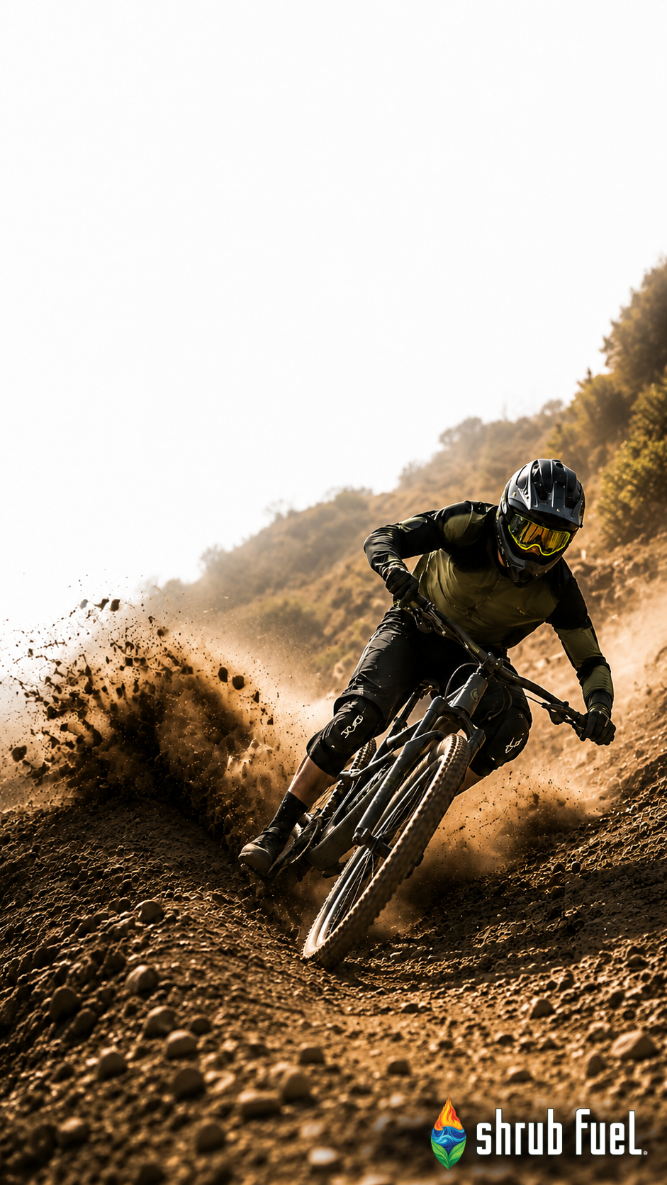 Mountain biker riding through a forest trail.