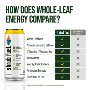 Comparison of Shrub Fuel whole-leaf guayusa energy with conventional energy drinks and added extracts.
